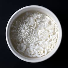 Peter Ting and Zha Cai Duan