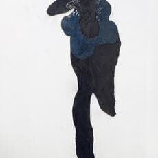 Sara Gernsbacher