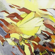 Dorothee Kreutzfeldt