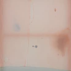 Guo-Liang Tan