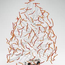 Nomadic Fungi Institute