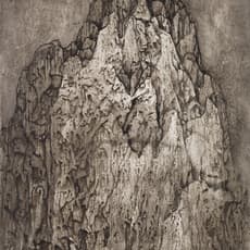 Wang Mansheng 王满晟