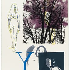 Dick Higgins