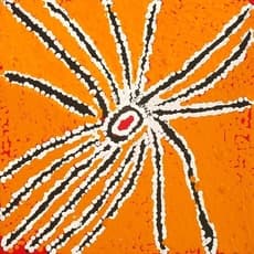 Liddy Napanangka Walker