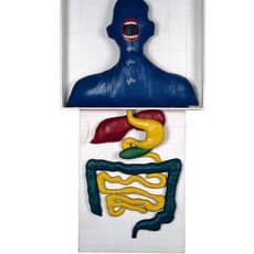 Anna Maria Maiolino, Glu Glu Glu (1967)