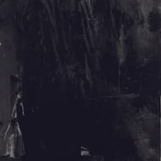 Lan Zhenghui