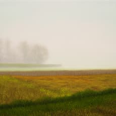 John Sabraw