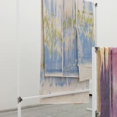 Xavier Antin