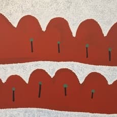 Long Tom Tjapanangka