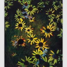 David McBride