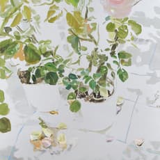 Chihiro Yoshioka