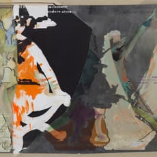 Anne-Mie Van Kerckhoven