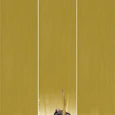 Yu Hong