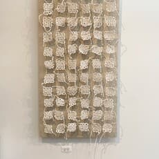Meg Morley