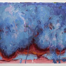 Dana Blume
