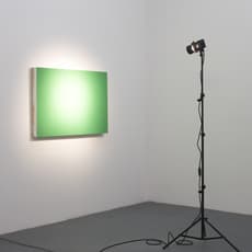Jason Kraus