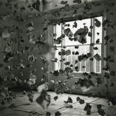 John Hilliard