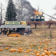 Joel Sternfeld