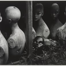 Shosuke Sekioka 関岡 昭介