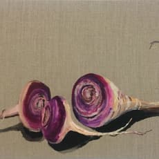Stephen Tashjian