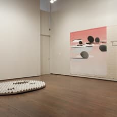 Claudia Fitch