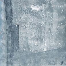 Firouz Farmanfarmaian