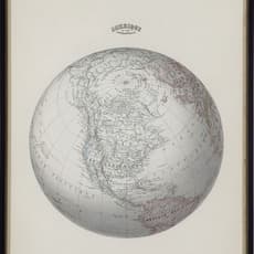 Vija Celmins