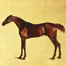 George Stubbs