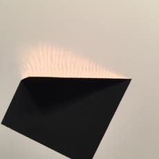 Constance DeJong (b. 1950)