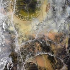 Seung Lee