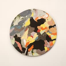Judy McKenzie