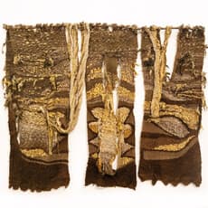 Joan Wall