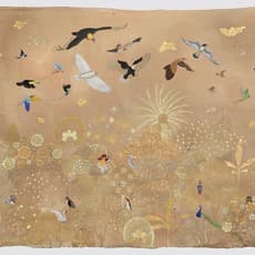 Ayesha Gamiet