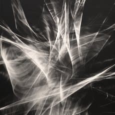 Etienne Bertrand Weill