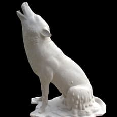 Yang Guangnan 杨光南