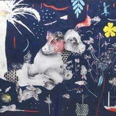 Kate Knight