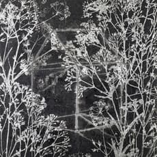 Chih-Cheng Huang 黃至正