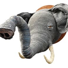 Nicole (of The Narfs) Betters