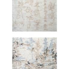 Wang Tiande 王天德