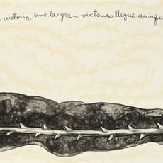 Jorge Pineda