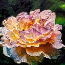 Jean T. C. Wang