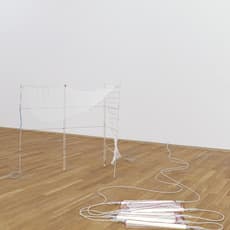 Nina Canell