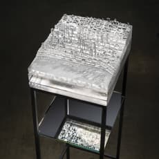 Norwood Viviano