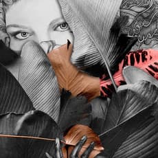 Lauren Clayton