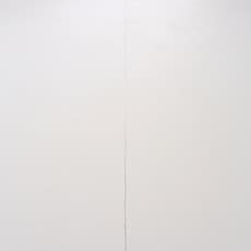 Lai Chih-Sheng 賴志盛