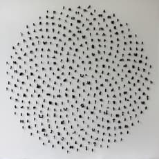 Anita Groener
