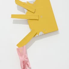 Carlos Kusnir