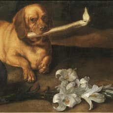 Juan de Pareja