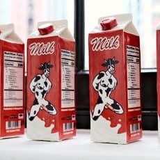 Wong Harris Necktime