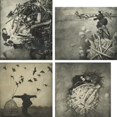 Robert ParkeHarrison